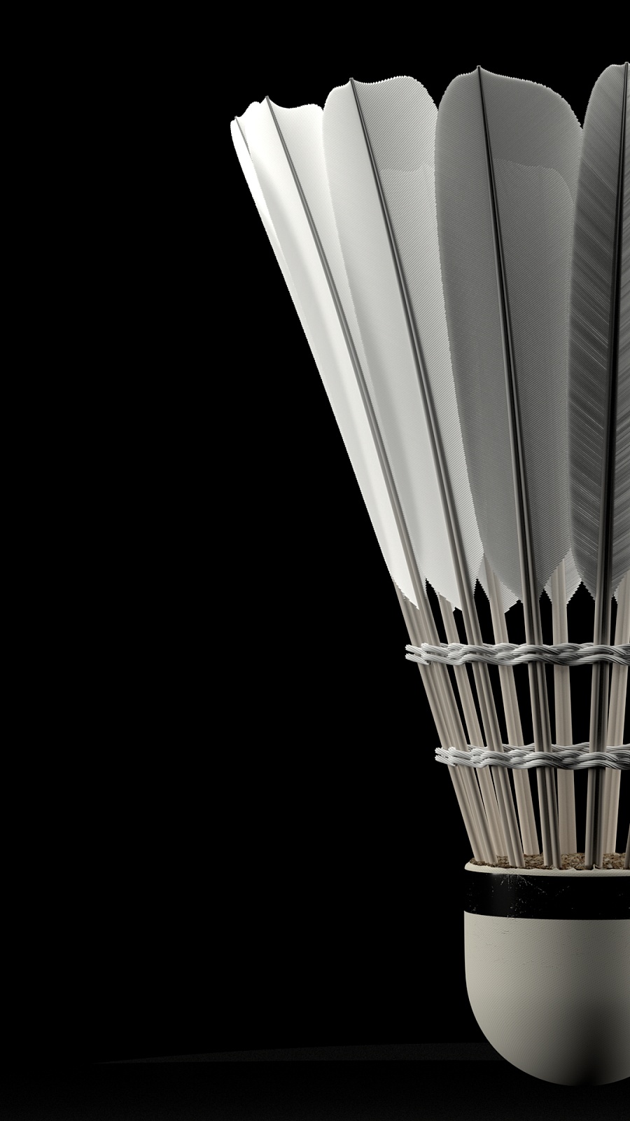 必精彩纷呈 必精彩纷呈